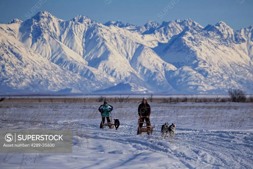 Two recreational dog mushers mushing near Wasilla with Chugach Mountains in the background, Mat_Su Valley, Southcentral Alaska, Winter