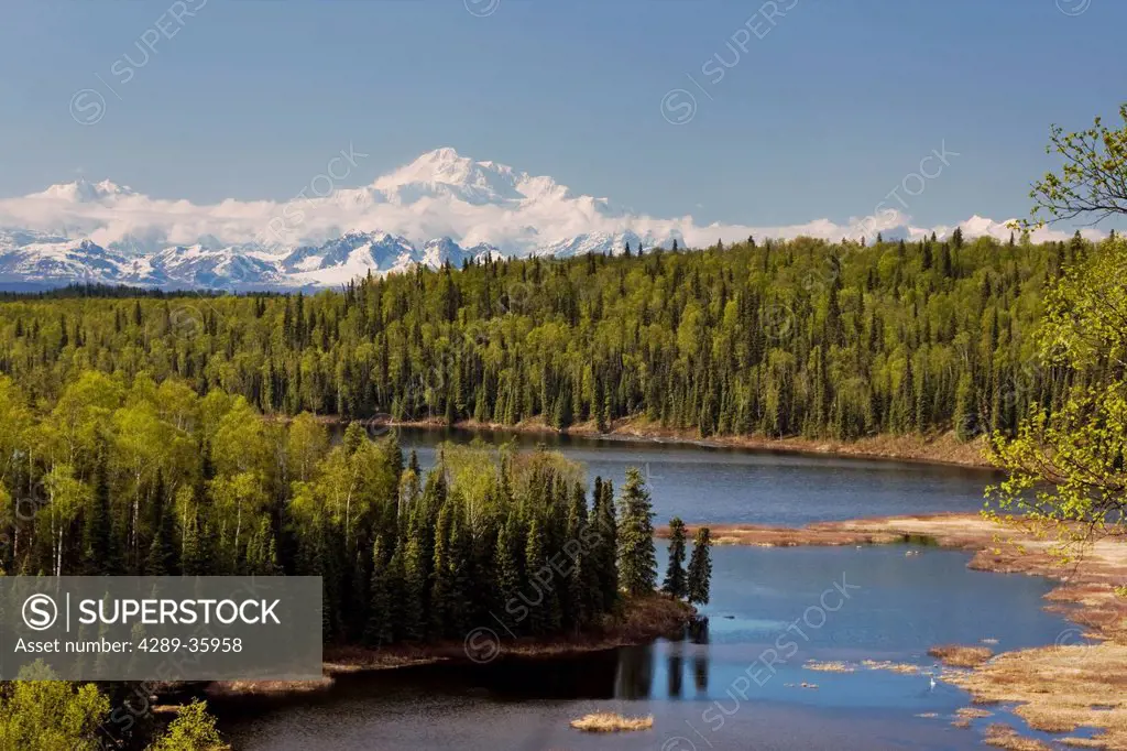Scenic view of Mt. McKinley and Fish Lake near Talkeetna, Southcentral Alaska, Summer