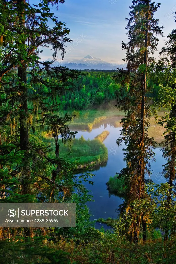 Scenic view of a beaver pond and Twister Creek with Mt. McKinley in the background, near Talkeetna, Southcentral Alaska, Summer