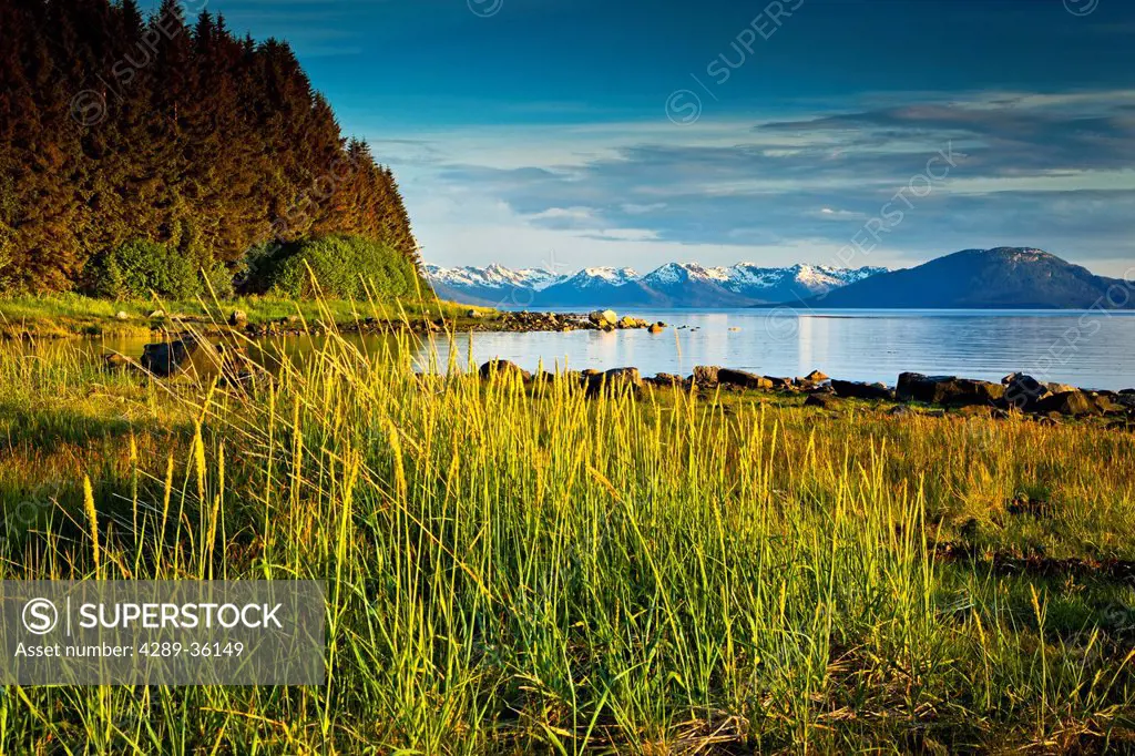 Scenic evening view of coastal grasses and Bartlett Cove, Glacier Bay National Park & Preserve, Southeast Alaska, Summer