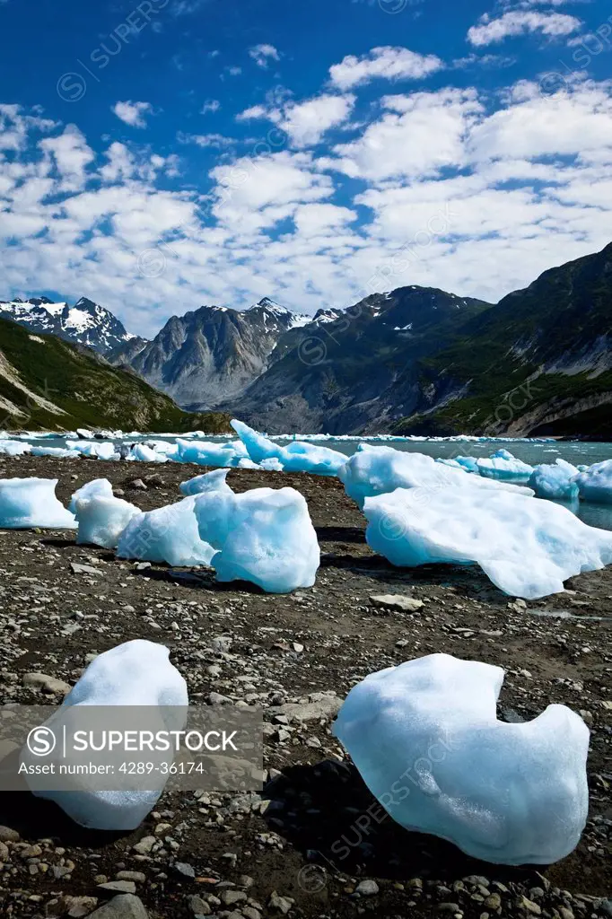 Scenic of icebergs from McBride Glacier in Muir Inlet, Glacier Bay National Park & Preserve, Southeast Alaska, Summer