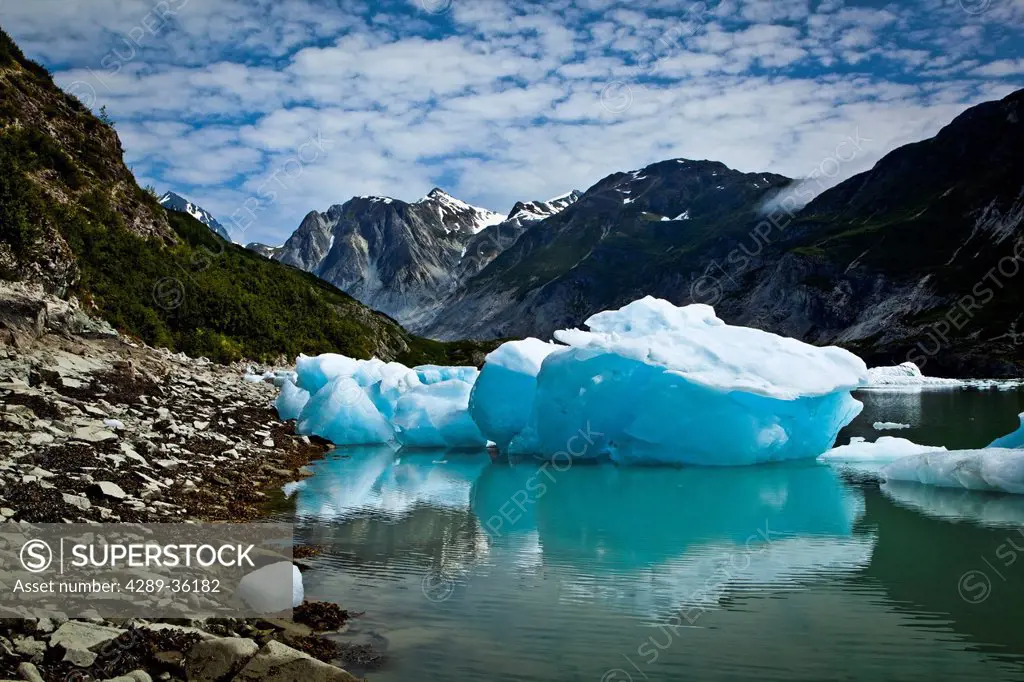 Scenic of icebergs from McBride Glacier in Muir Inlet, Glacier Bay National Park & Preserve, Southeast Alaska, Summer
