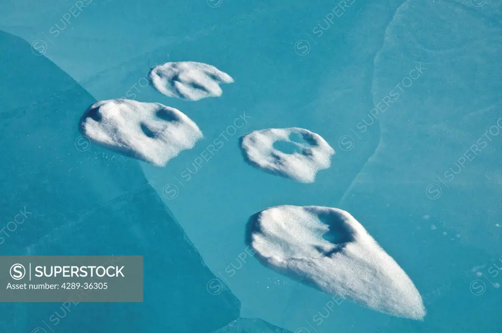 Wolf prints in snow on the blue ice of the frozen North Fork of the Koyukuk River in Gates of the Arctic National Park & Preserve, Arctic Alaska, Wint...