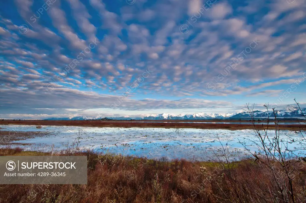 Cirrocumulus clouds over Alaganik slough in the morning, Chugach National Forest, Cordova, Southcentral Alaska, Spring