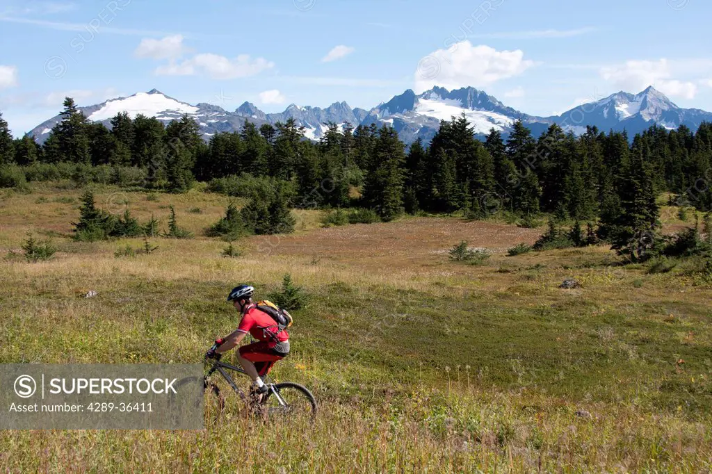 Mountain biker on the Lost Lake Trail near Seward, Kenai Peninsula, Southcentral Alaska, Summer