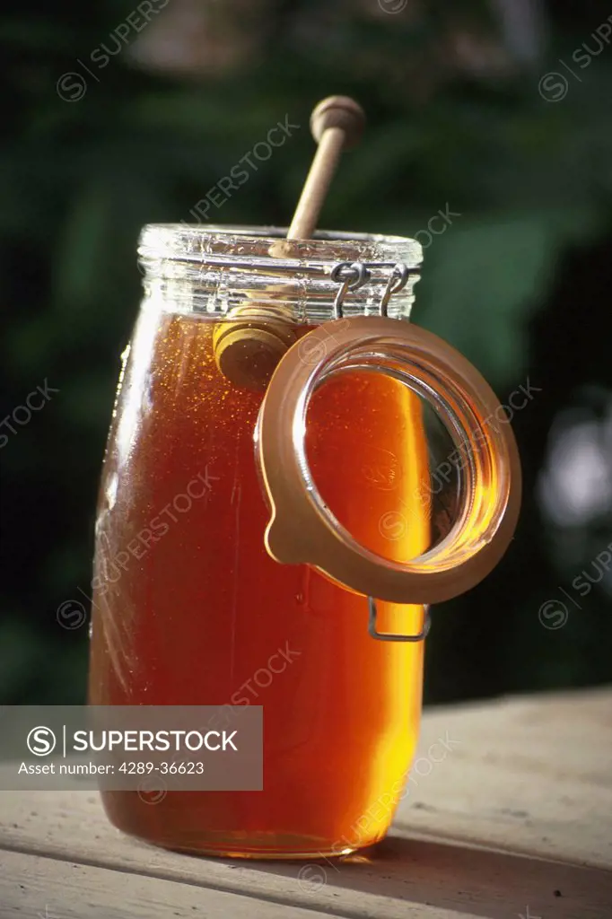 Jar Full Of Honey Southcentral Alaska