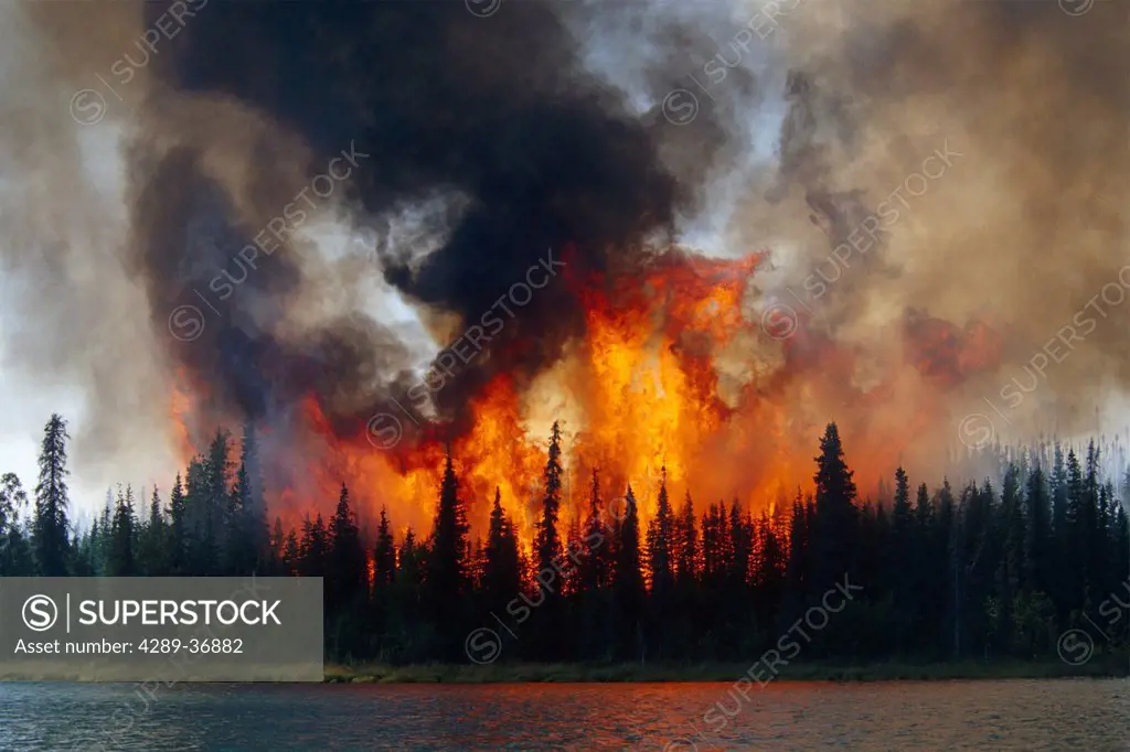Blazing Forest Fire In Kenai Wildlife Refuge, Skilak Lake, Alaska, Summer.