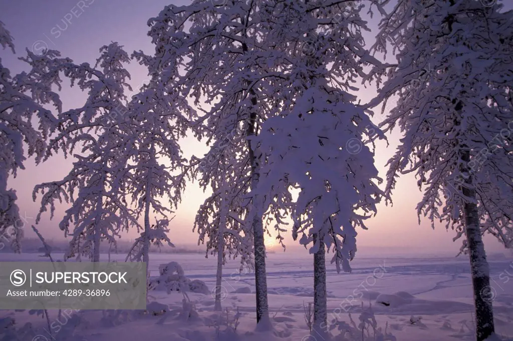 Winter Solstice Sunset On Tanana River In Alaska Winter