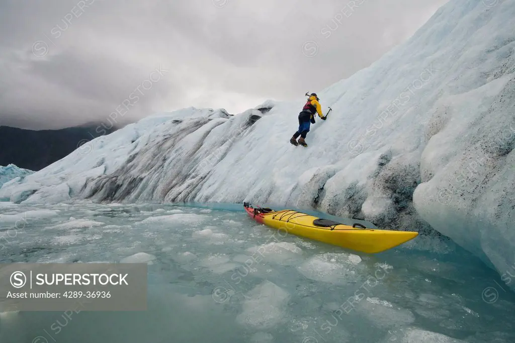 Man Uses Ice Axe To Exit Sea Kayak Onto Bear Glacier In Kenai Fjords National Park Near Seward, Alaska