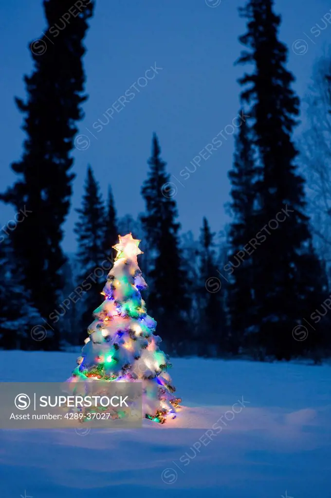 Lit Christmas Tree In Snow Outside During Winter At Twilight In Fairbanks, Alaska