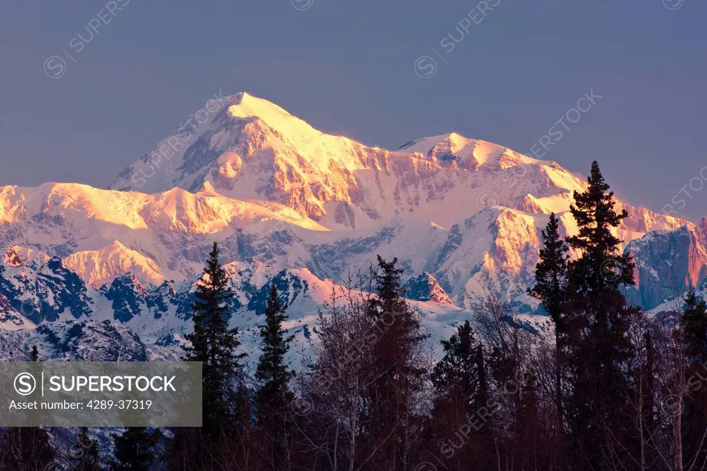 Sunrise Alpenglow On Southside Of Mount Mckinley And The Alaska Range, Denali State Park, Southcentral Alaska, Spring