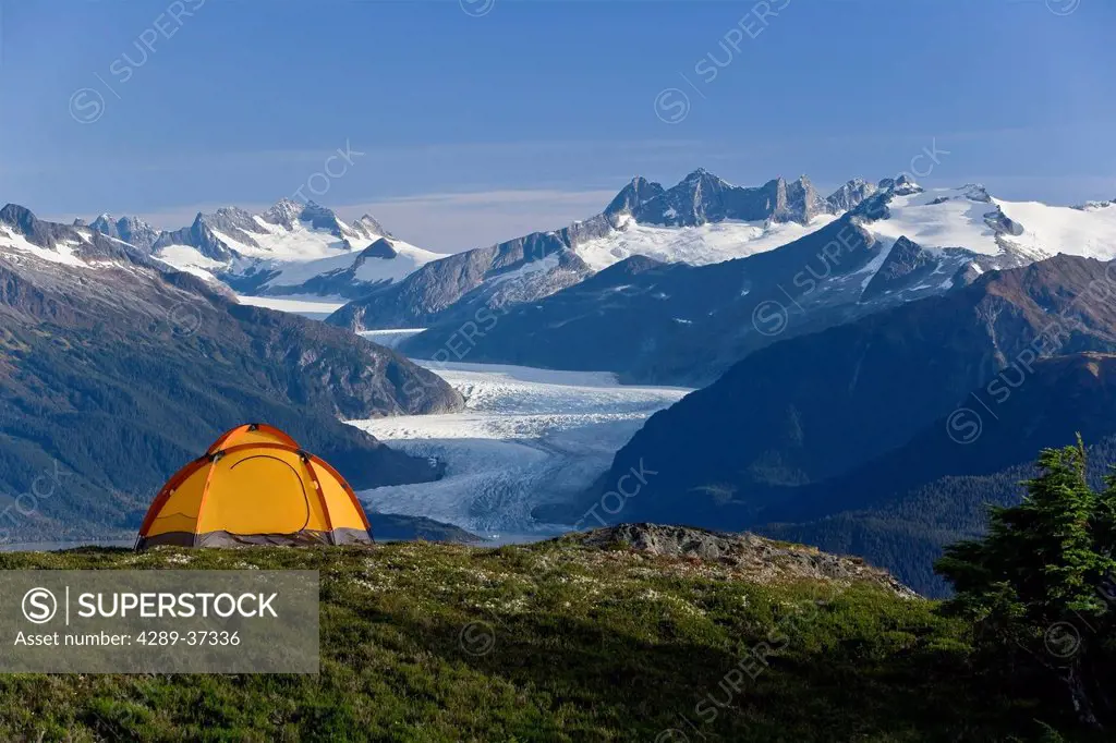 Tent Site On A Ridge, High On Douglass Island. Overlooking Mendenhall Glacier And Towers Near Juneau. Summer In Southeast Alaska.
