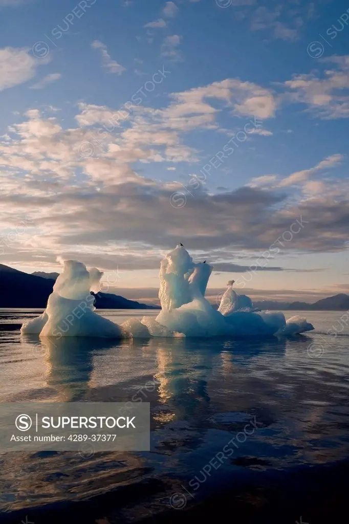 Gulls Rest On A Iceberg Floating In Tracy Arm. Located In The Fords Terror Wilderness Near Juneau. Summer In Southeast Alaska.