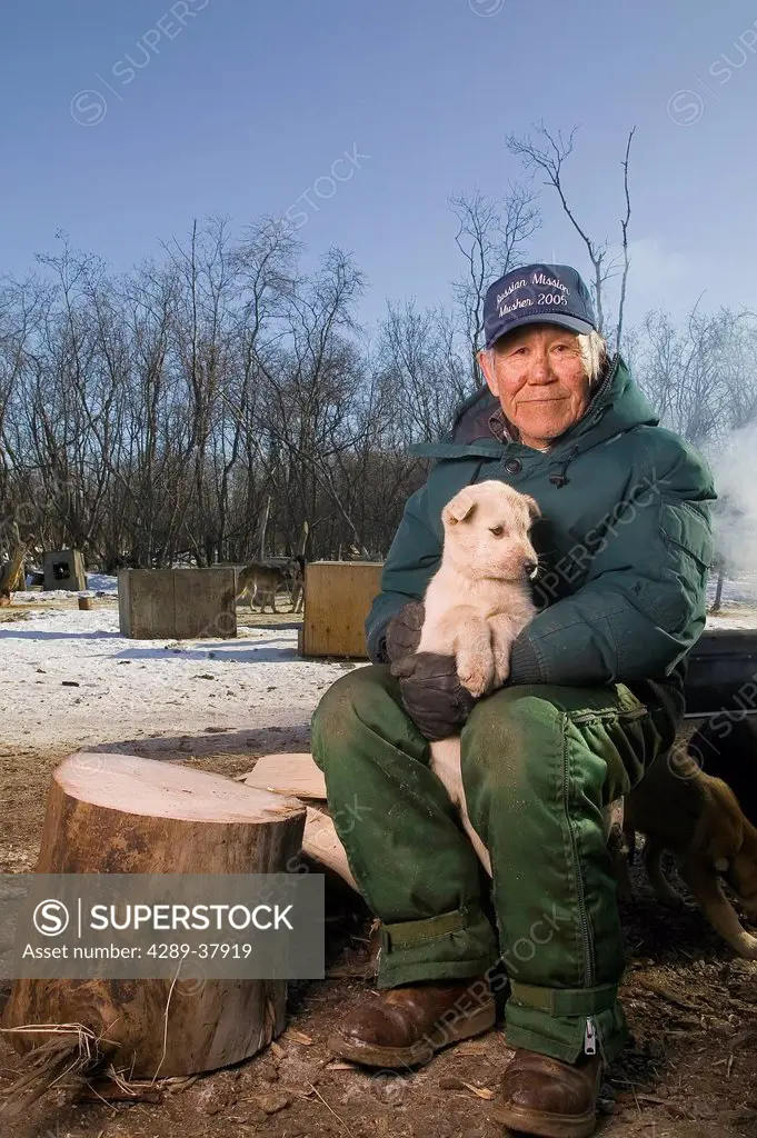 Portrait Of Elder Native Yupik Man Holding Puppy In Dog Yard Akiachak Western Alaska Spring Outdoors
