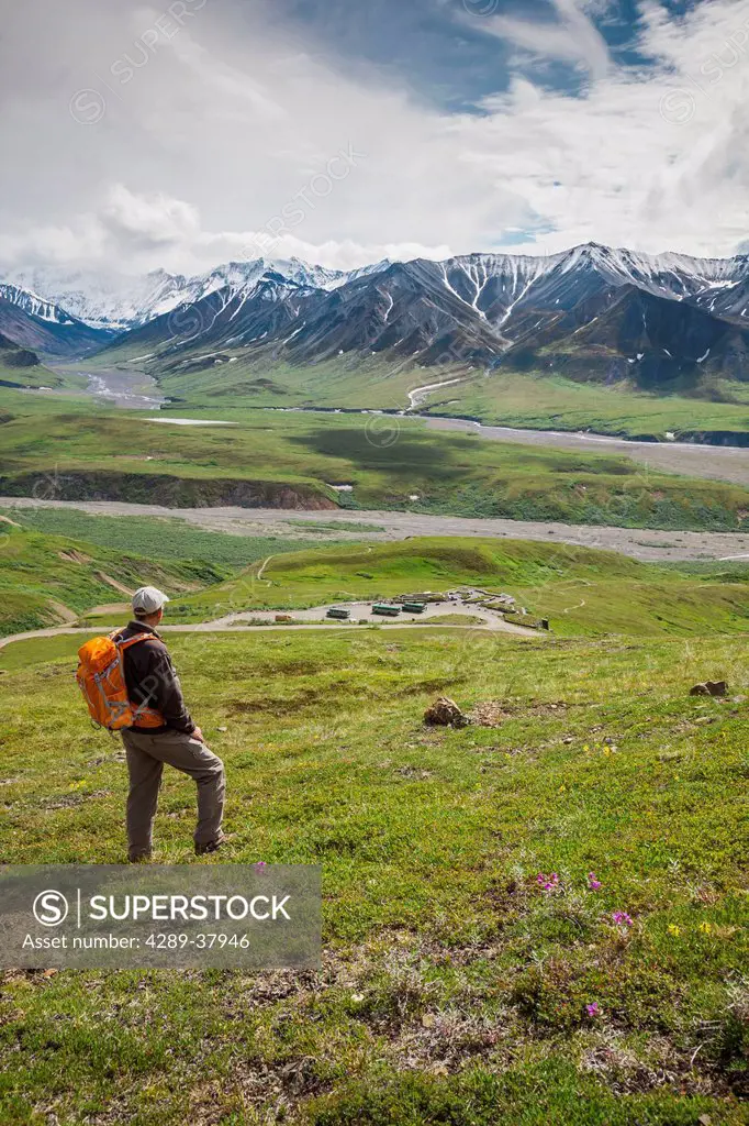 A Senior Male Hiker Stands On The Mountain Side Looking Down At The Eielson Visitor's Center In Denali National Park; Alaska United States Of America