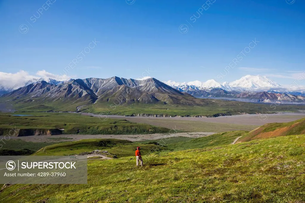 A Senior Male Hiker Stands On The Tundra On A Mountain Slope With Mt. Mckinley And The Thorofare River In The Background In Denali National Park; Alas...