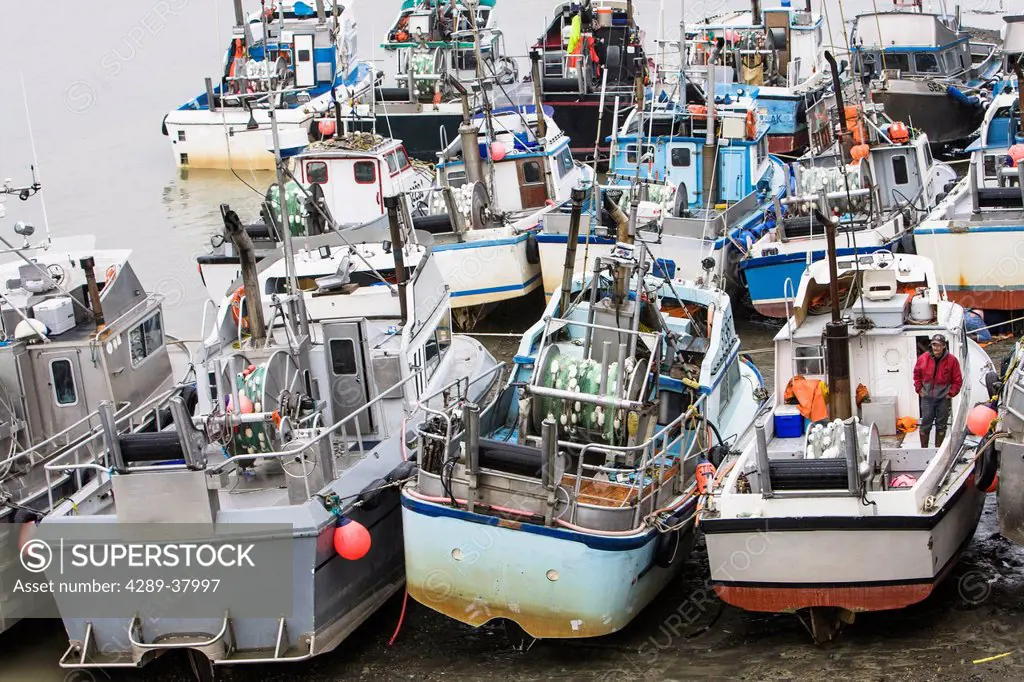 Many Commercial Sockeye Salmon Fishing Boats Sit On The Beach At Low Tide While Moored To The Docks Of Trident Seafoods Cannery In The Naknek River; B...