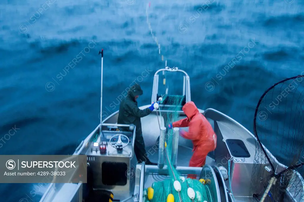 A Commercial Salmon Fisherman And His Deckhand Pulling Their Net Aboard In Rough Weather On The Copper River Flats; Cordova Alaska United States Of Am...