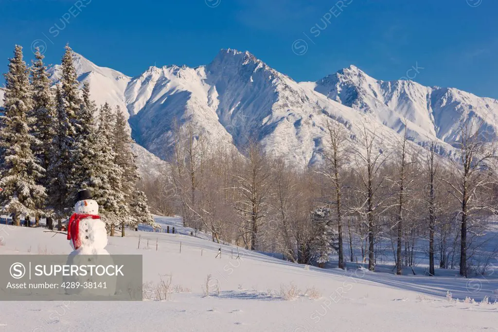 Snowman wearing a red scarf and black top hat standing in a field with the chugach mountains in the background in winter;Palmer alaska usa