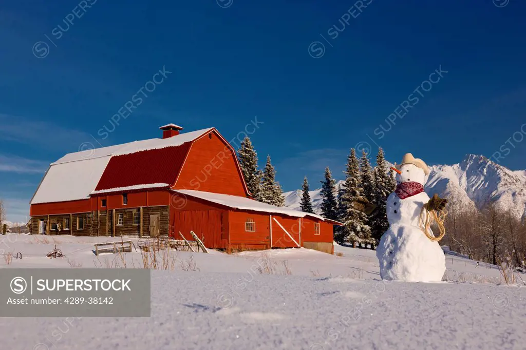 Snowman dressed up as a cowboy standing in front of a vintage red barn in winter;Palmer alaska usa