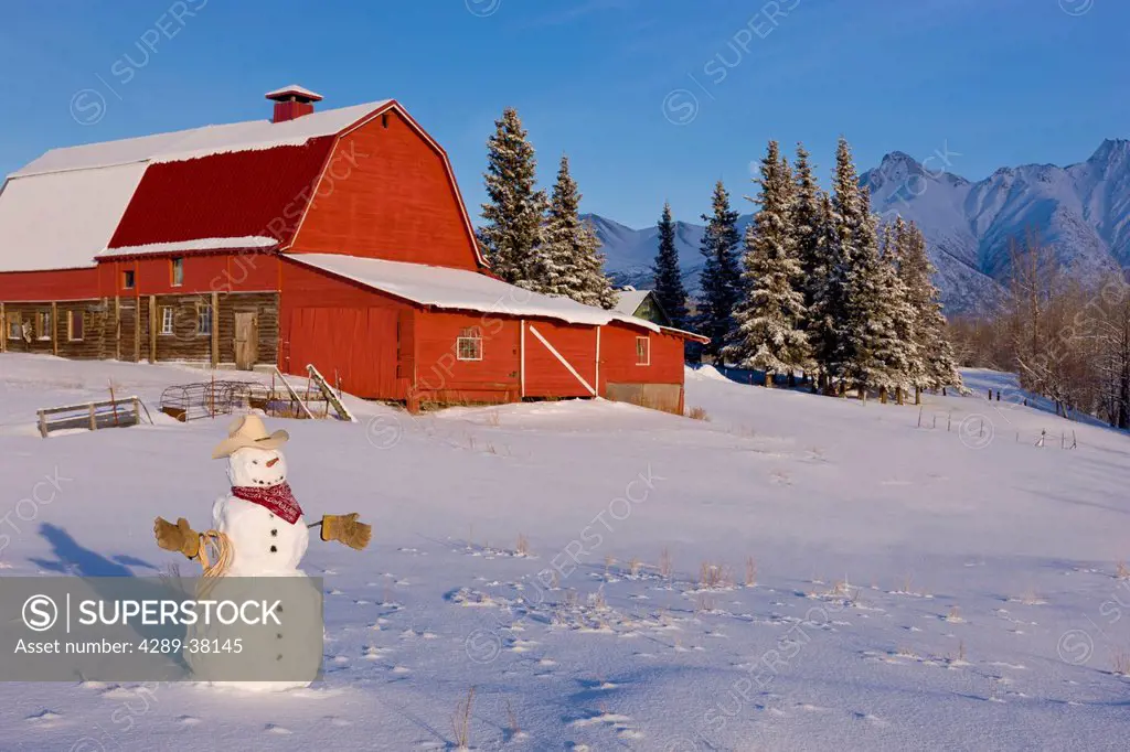 Snowman dressed up as a cowboy standing in front of a vintage red barn in winter;Palmer alaska usa