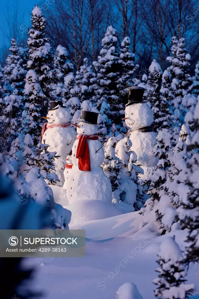 Snowman family wearing scarves and black top hats standing in front of a snowcovered spruce forest at dusk;Anchorage alaska usa