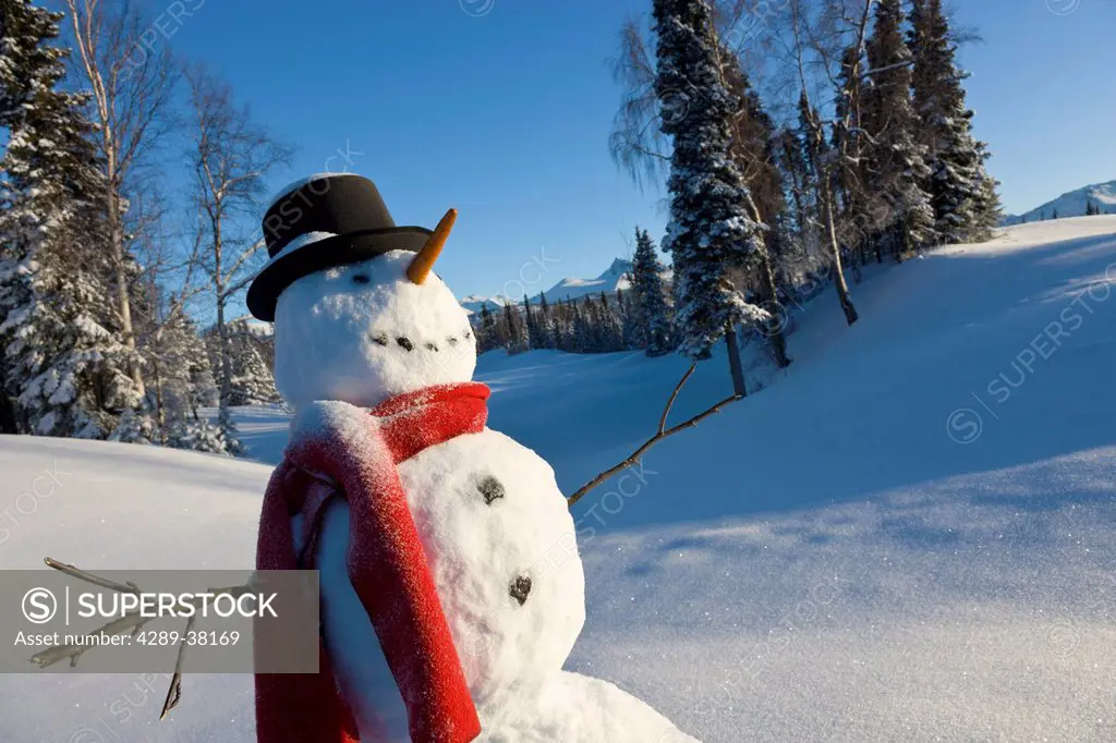 Snowman wearing a black top hat and red scarf standing in a snowcovered meadow spruce forest anchorage golf course;Anchorage alaska usa