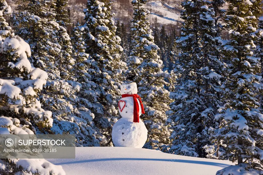 Snowman wearing a red scarf and black top hat standing in front of a snowcovered spruce forest;Anchorage alaska usa