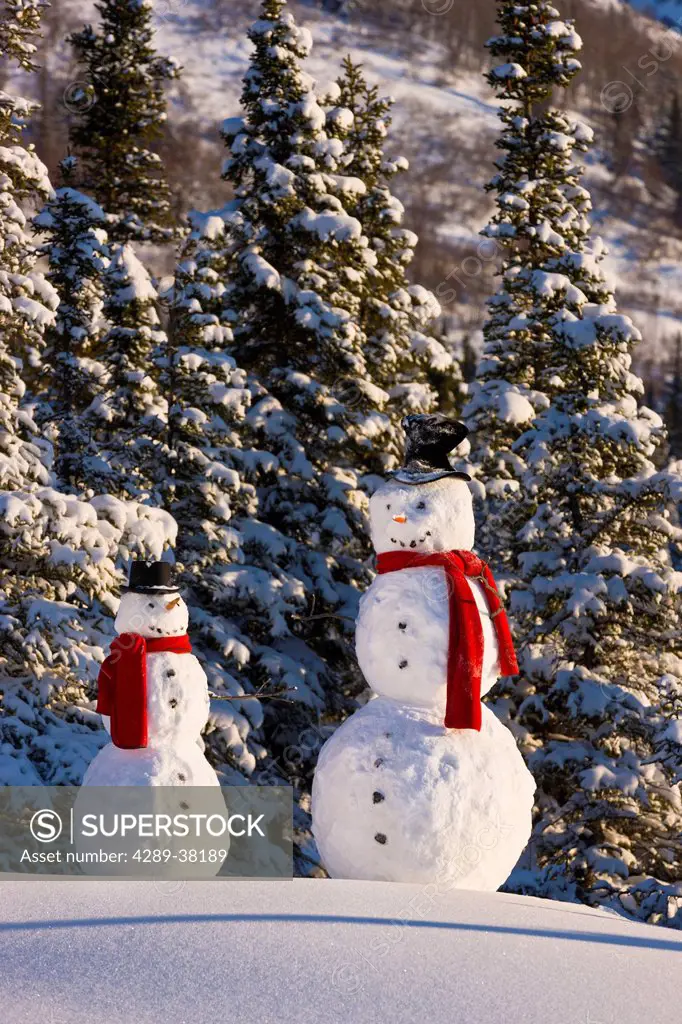 Two snowmen wearing red scarves and top hats standing in front of a snowcovered spruce forest;Anchorage alaska usa