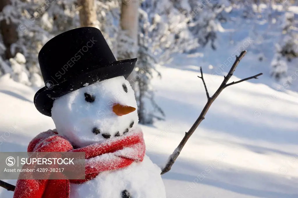 Snowman wearing a black top hat and red scarf standing in a meadow in front of a birch and spruce forest;Anchorage alaska usa