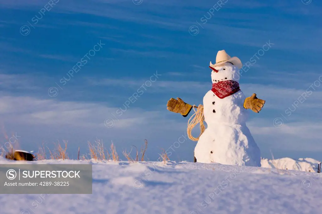 Snowman dressed up as a cowboy wearing a cowboy hat red bandana work gloves and rope standing in a field;Palmer alaska usa