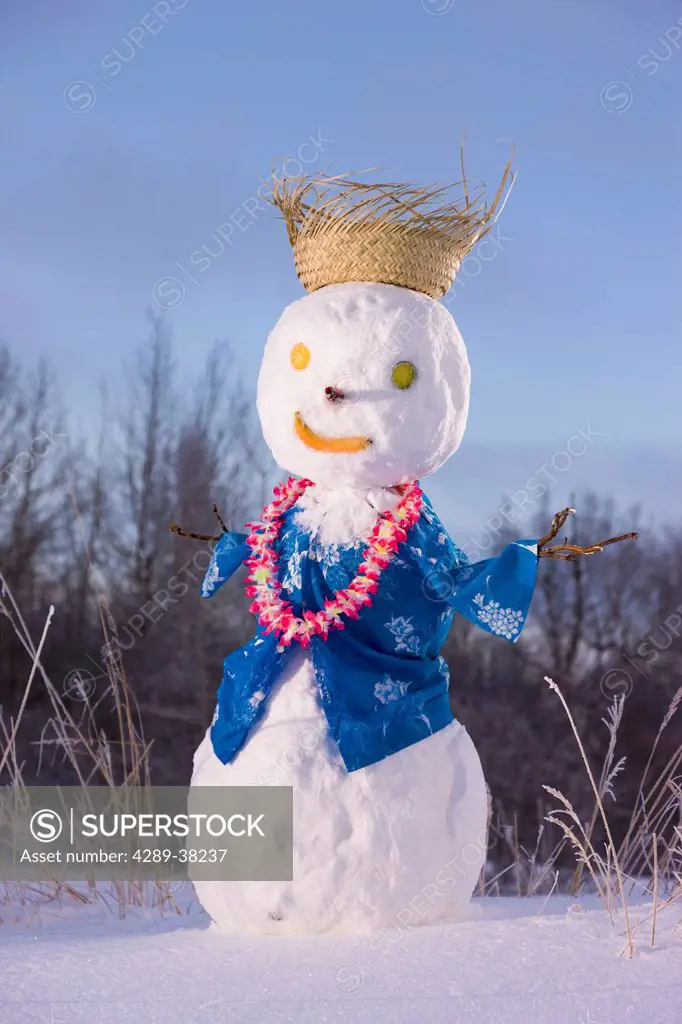 Snowman wearing an hawaiian outfit in a snowcovered field;Anchorage alaska usa