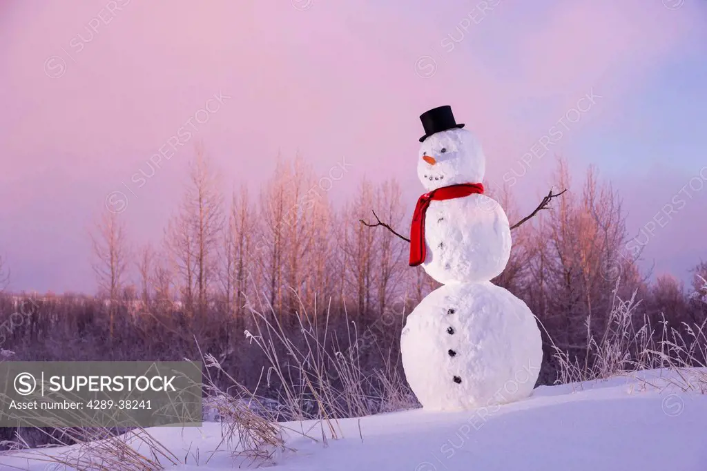 Snowman in field wearing a black stovepipe hat and red scarf;Anchorage alaska usa