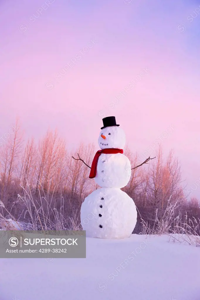 Snowman in field wearing a black stovepipe hat and red scarf;Anchorage alaska usa