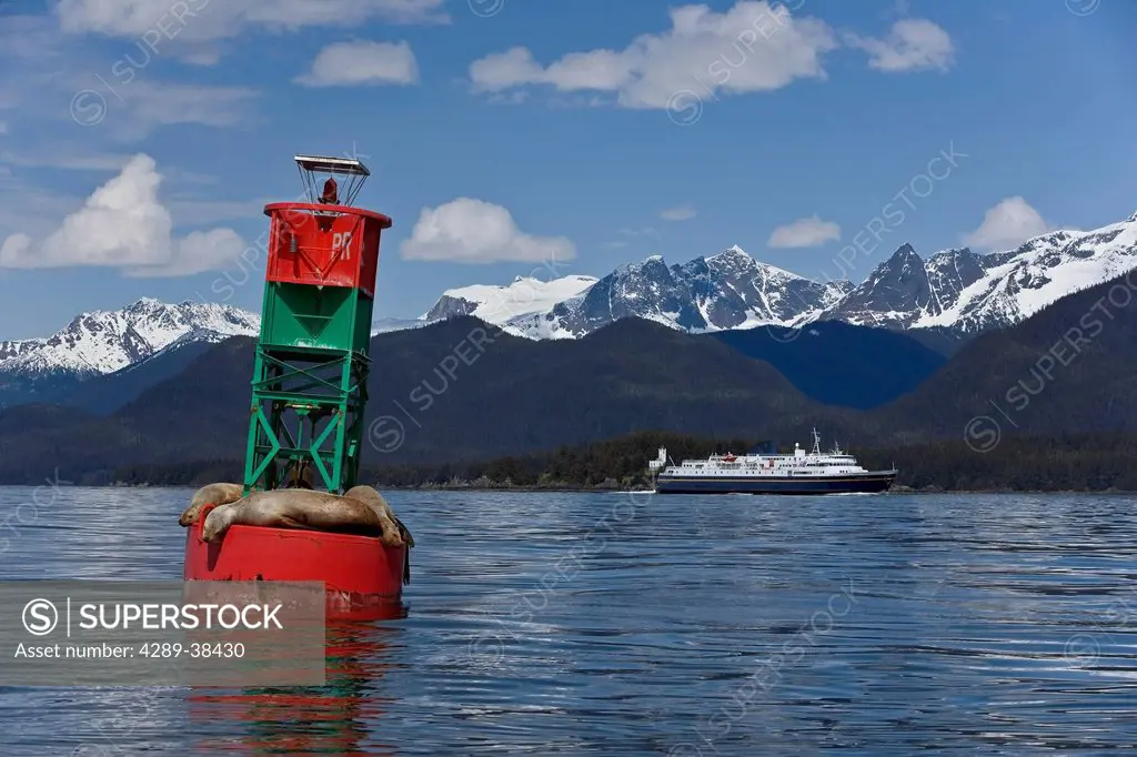 The Alaska Marine Highway vessel *Malaspina* passes a navigational buoy with Steller Sea Lions resting on it as it travels south toward Juneau. Summer...