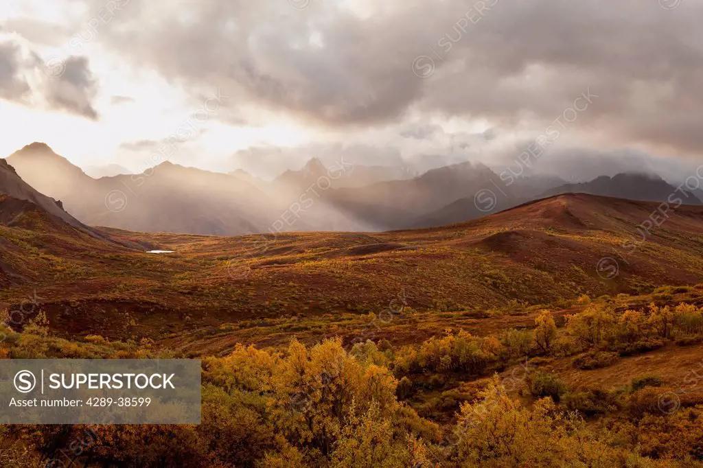 Sun beams breaking through storm clouds above rolling hills covered by shrub tundra, willows turning gold and dwarf birch turning red, foothills of Al...
