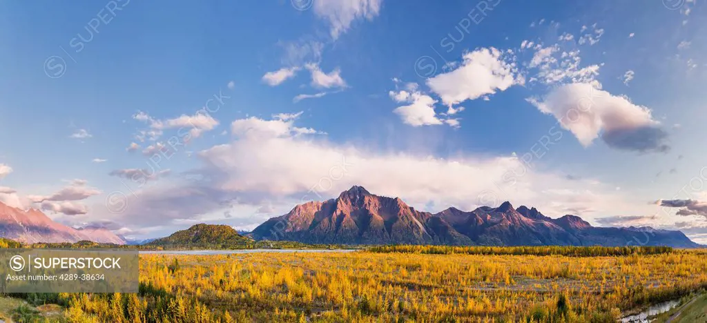 Panoramic of glacially carved Matanuska River Valley filled with the fall colors of Birch and Cottonwood trees, Pioneer Peak and the Chugach Mountains...