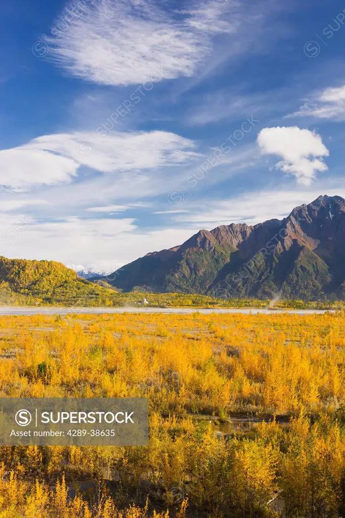 The glacially carved Matanuska River Valley filled with the fall colors of Birch and Cottonwood trees, Pioneer Peak and the Chugach Mountains in the b...