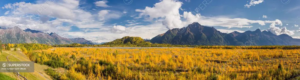 Panoramic of glacially carved Matanuska River Valley filled with the fall colors of Birch and Cottonwood trees, Pioneer Peak and the Chugach Mountains...