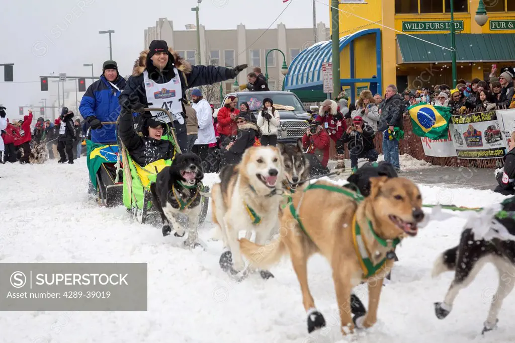 Luan Ramos Marques and team leave the ceremonial start line at 4th Avenue and D street in downtown Anchorage during the 2013 Iditarod race.