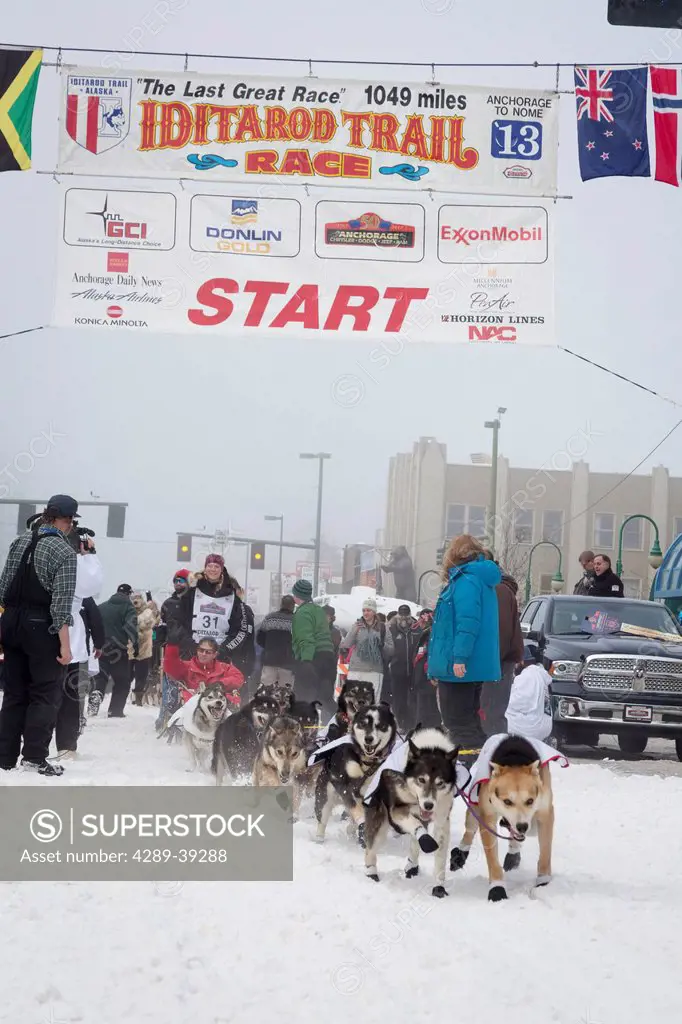 Anna Berington and team leave the ceremonial start line at 4th Avenue and D street in downtown Anchorage during the 2013 Iditarod race.