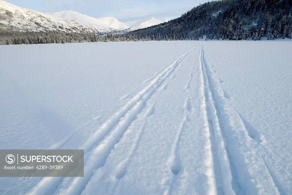 Fresh Ski Tracks In The Winter Snow Receding Into The Distance Along The Resurrection Pass Trail In Kenai Mountains Of Southcentral Alaska.