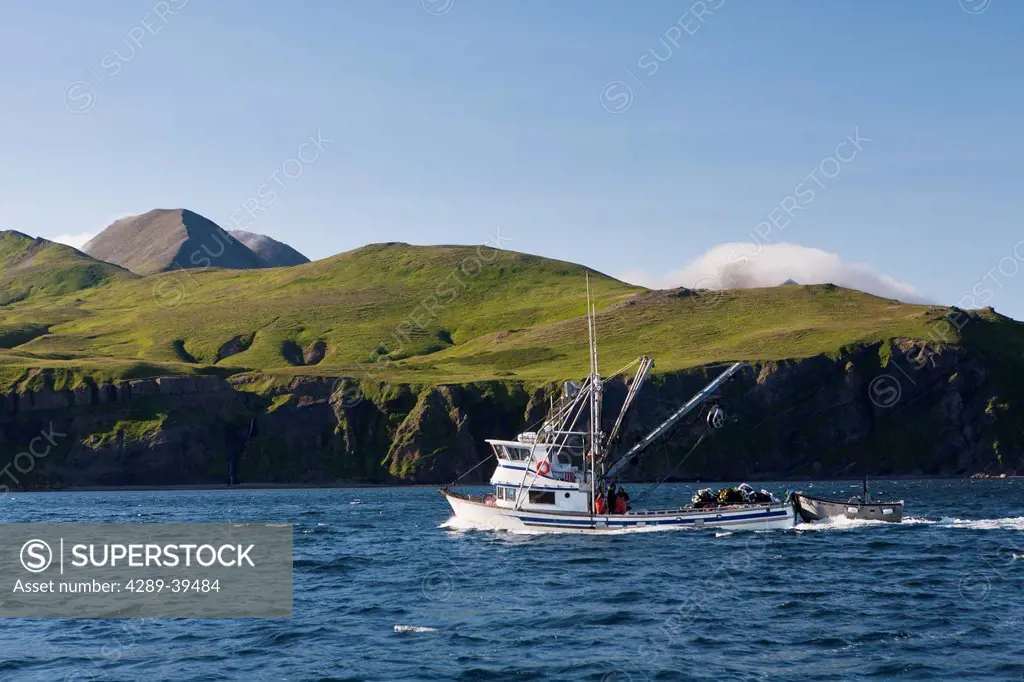 A small seiner, a commercial salmon fishing vessel, motoring near King Cove, Southwest Alaska, summer.