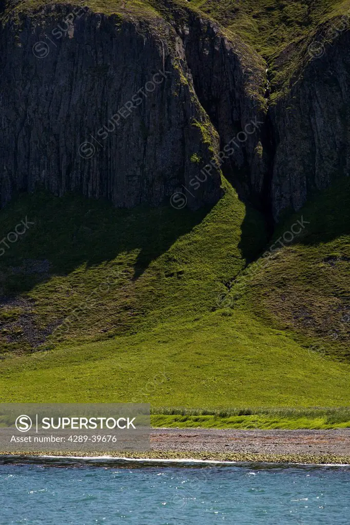 Brown Bear walking along the green shores and rugged cliffs of Cape Pankoff on Unimak Island, the easternmost island of the Aleutian chain, Southwest ...