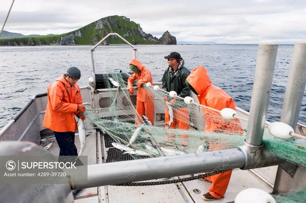 Salmon fishing in front of Cape Pankoff on Unimak Island in the Alaska Department of Fish and Game 'Alaska Peninsula Area' also known as 'Area M'. Thi...