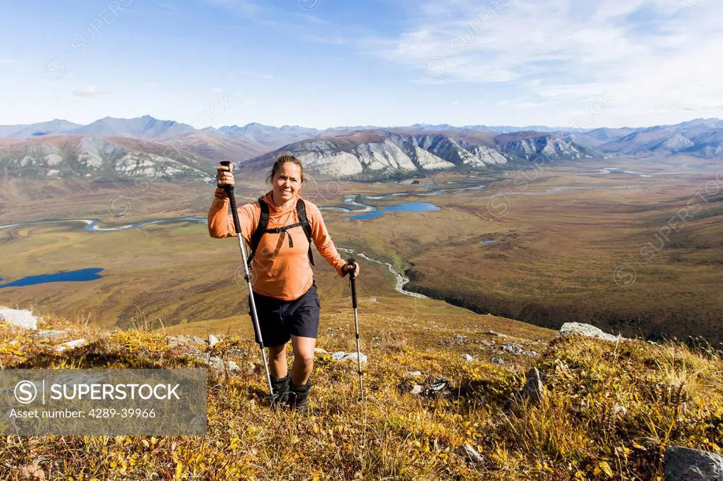Hiker on ridge near Noatak River in the Brooks Range, Gates of the Arctic National Park, Northwestern Alaska, above the Arctic Circle, Arctic Alaska, ...