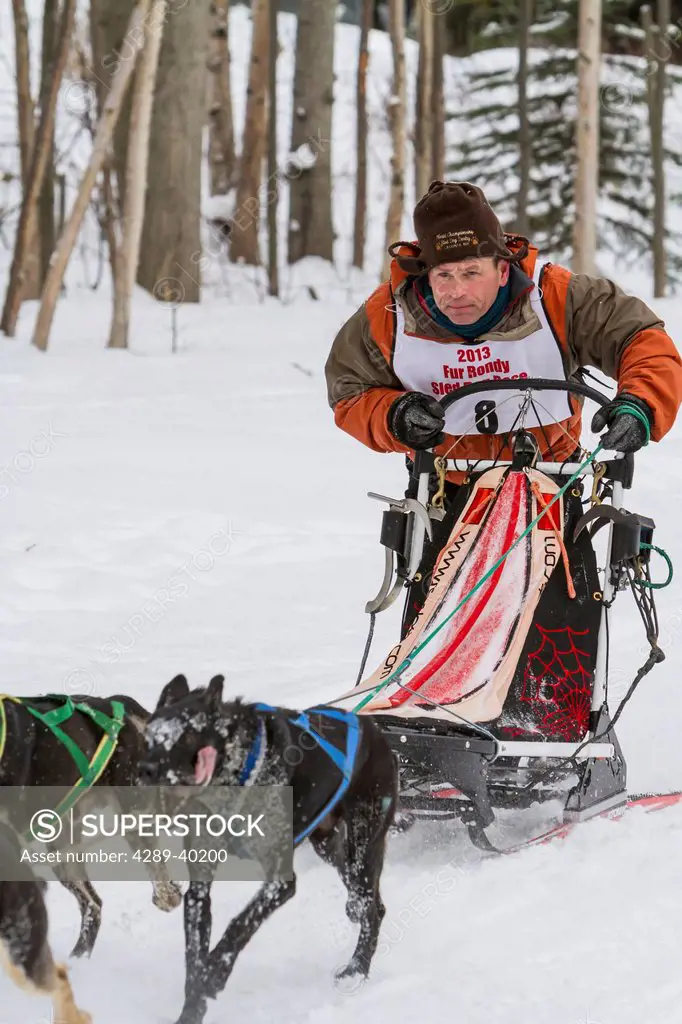 Robert Worden mushes his team along the Chester Creek green belt in Anchorage, Alaska during the first day of the Fur Rendezvous World Champion Sled D...