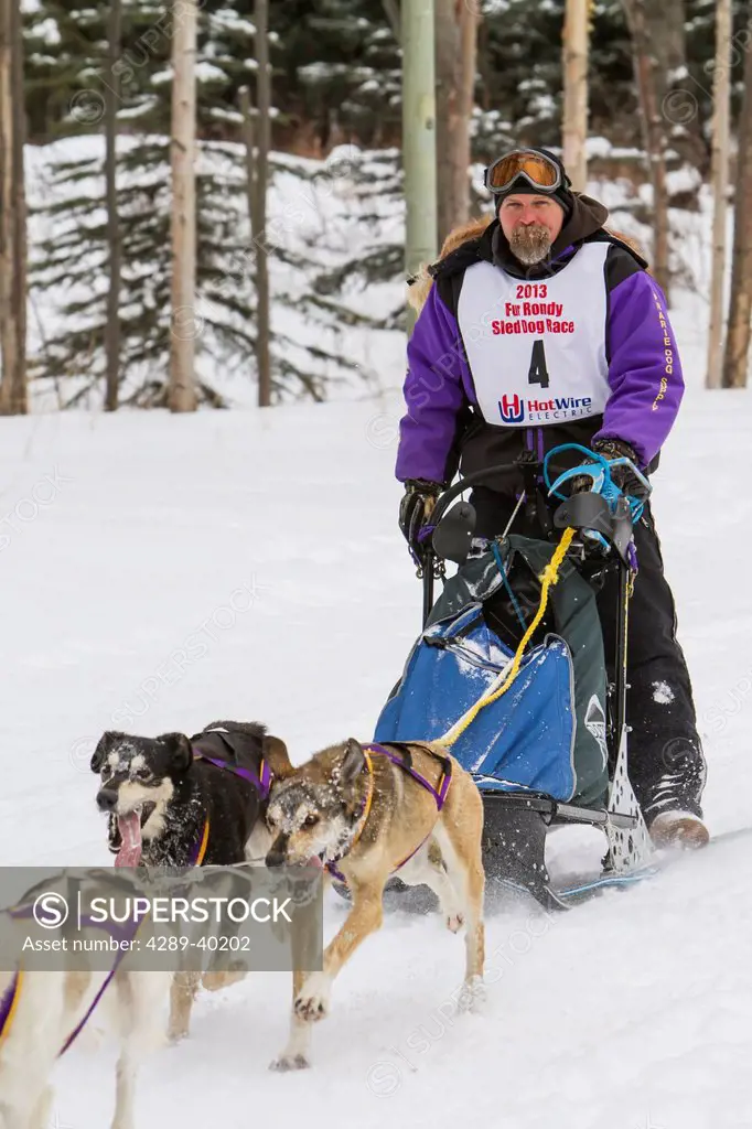 Kevin R. Cook mushes his team along the Chester Creek green belt in Anchorage, Alaska during the first day of the Fur Rendezvous World Champion Sled D...