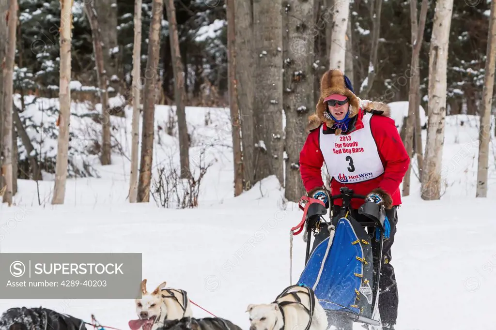 Arleigh Reynolds mushes his team along the Chester Creek green belt in Anchorage, Alaska during the first day of the Fur Rendezvous World Champion Sle...