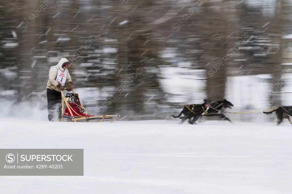Marvin Kokrine mushes his team along the Chester Creek green belt in Anchorage, Alaska in a snow storm during the first day of the Fur Rendezvous Worl...